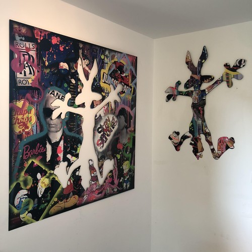 Karl vs Coco (Coyote), 2018