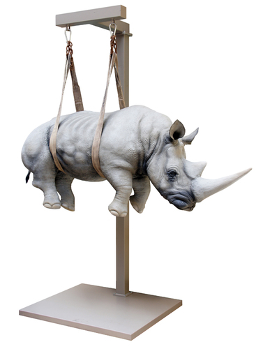 Il peso del tempo sospeso rhino XL
