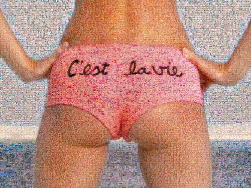 C'est la vie, 2014