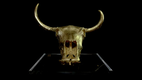 Yak