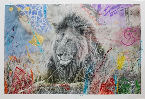 Simba 9 (183cm)
