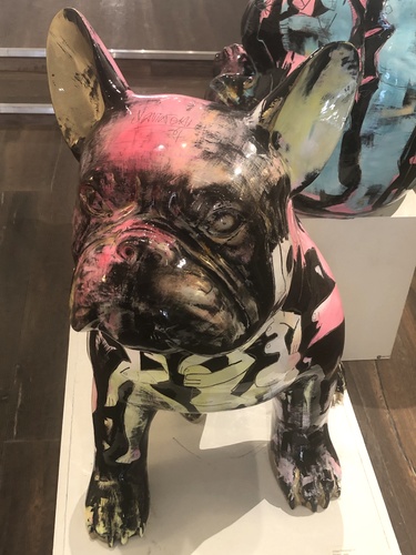 Doggy john