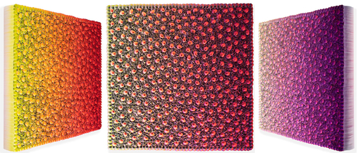 S20-C040, 2020