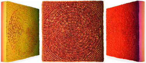 B20-H041, 2020