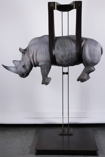il peso del tempo sospeso rhino special edition