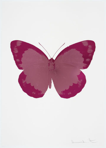 The Soul II - Loganberry Pink, Fuchsia Pink, Blind Impression, 2010