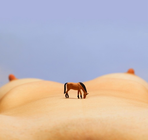 Pottock in the desert